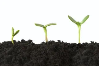 8 ways to grow as a person
