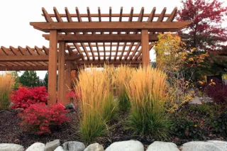 Designing the Perfect Patio Cover