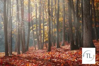 Learning in Different Seasons