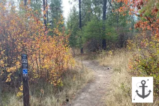 Word for the Liturgical Year