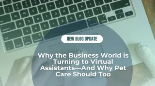 Why the Business World is Turning to Virtual Assistants—And Why Pet Care Should Too