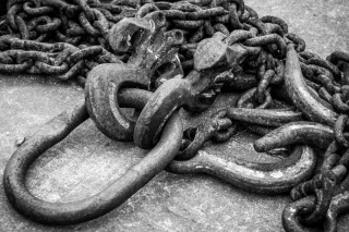 A Serpent of Slaves