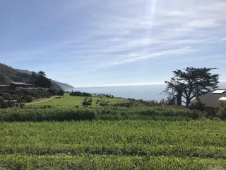 Dream Garden Tending: A ritual and practice to cultivate Self intimacy 
