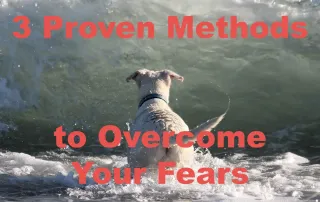 Conquer Fear and Unleash Your Courage: 3 Proven Methods to Overcome Your Fears