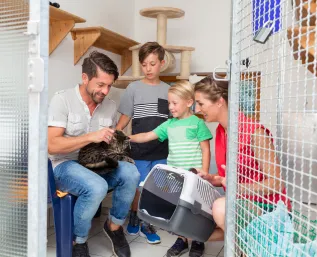 Adoption Stories From Rescue to Forever Home