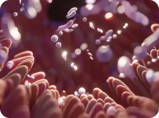 GUT FEELINGS: The Hidden Link Between Gut Health and Hormonal Imbalance