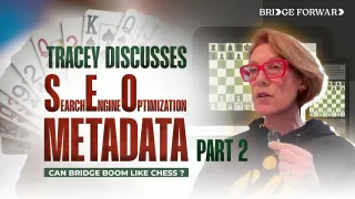 Applying SEO Metadata for Bridge Organizations: Turning Strategy into Action