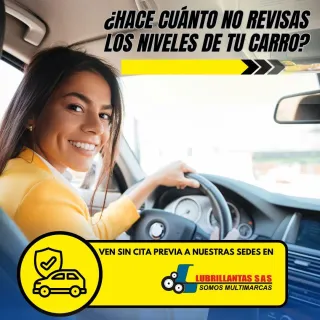 Importancia de revisar los niveles del Carro