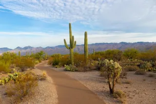 6 Reasons To Move To Arizona for Senior Living