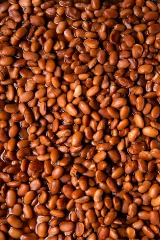 Biofuel Rules to Absorb More Than Half of U.S. Soybean Oil