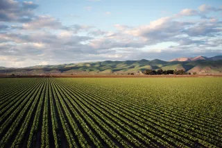 Midwest Farmers Squeezed From All Sides