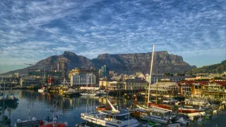 A Surge in South African Farm Exports Meets a Tariff Wall