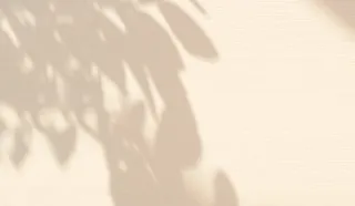 Light And Leaves