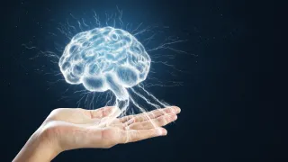 From Overwhelm to Inner Sparkle: How to Rewire Your Brain for Clarity 
