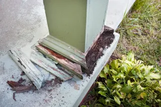 Understanding Termites and SB 326 and 721