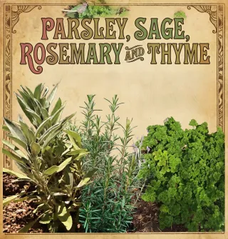 The Meaning of Parsley, Sage, Rosemary, and Thyme | Scarborough Fair Symbolism
