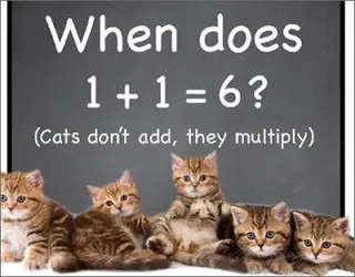 The Importance of Neutering