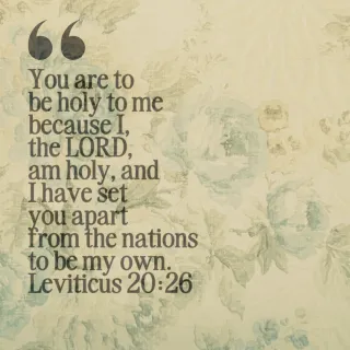 the book of Leviticus