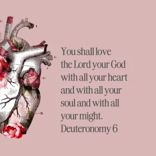 Deuteronomy Recap 