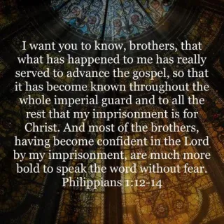 Pain & Boldness 