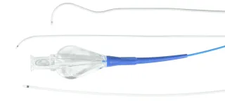 Merit Maestro® Microcatheters