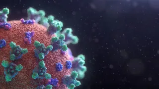 What is EBV?