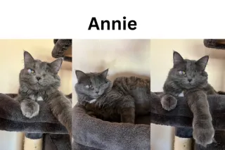 Annie