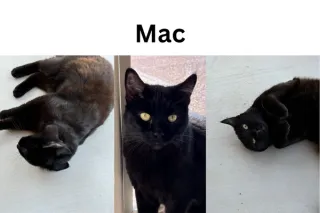 Mac