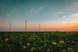 Sustainable Lifestyle in Yukon, Oklahoma: Tips & Tricks