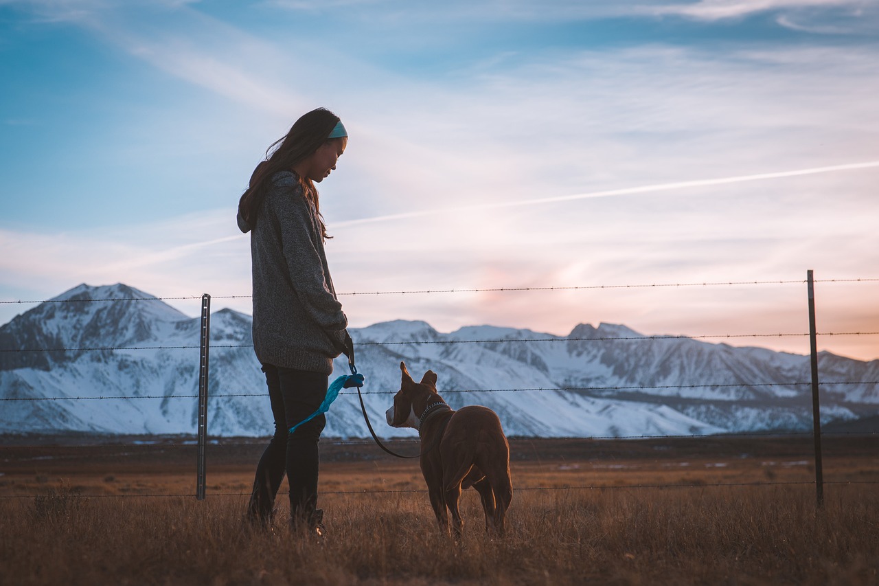EDB0021 - Loose Leash Lessons: Moonwalking & Get In Position