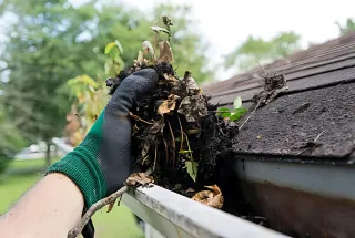 Gutter Removal
