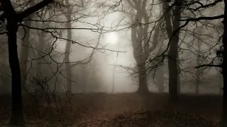 When the Noise Fades, the Truth Remains (Weekly Recovery Reflection)