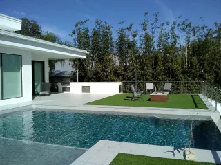 Is Your Orlando Pool Really Clean? 5 Pro Tips to Beat Hidden Algae & Bacteria
