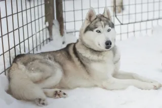 Tackle Winter Coat Before Winter Coat Tackles You