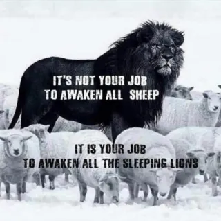 You are a divine, gifted being.