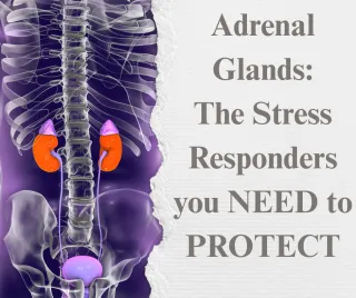 Feeling Exhausted? Here’s How to Support Your Adrenal Glands Naturally