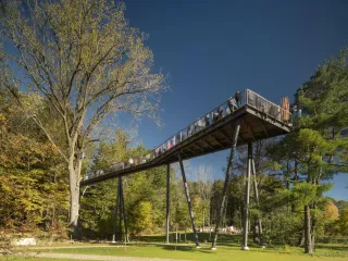 🌳Walk Among the Trees: Discover the Magic of Dow Gardens & Whiting Forest in Midland, MI