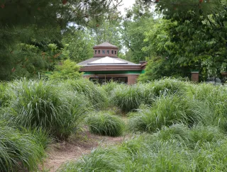🌳 Exploring For-Mar Nature Preserve & Arboretum: A Natural Gem in Burton, MI 
