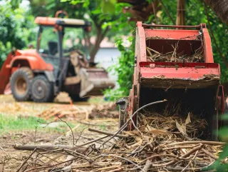 Expert Brush Removal and Chipping Services for Your Property