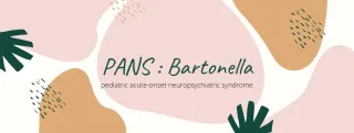 PANS Triggers – Bartonella