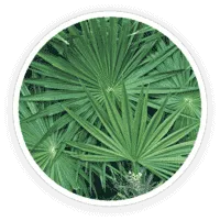 FAQ image