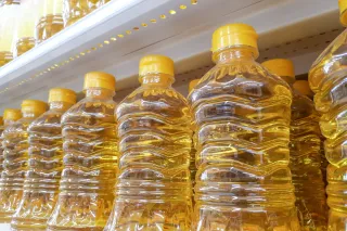The Seed Oil Scandal: How “Healthy” Fats Are Destroying Your Metabolism
