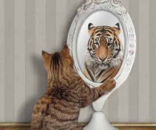 You Are Becoming Who You See Yourself Becoming