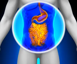 Gut Check: The Secret to Immune Strength and Vitality After 55