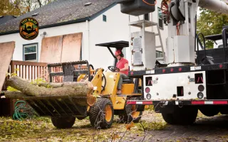 Emergency Tree Removal Services: A Homeowner’s Guide to Fast and Safe Action
