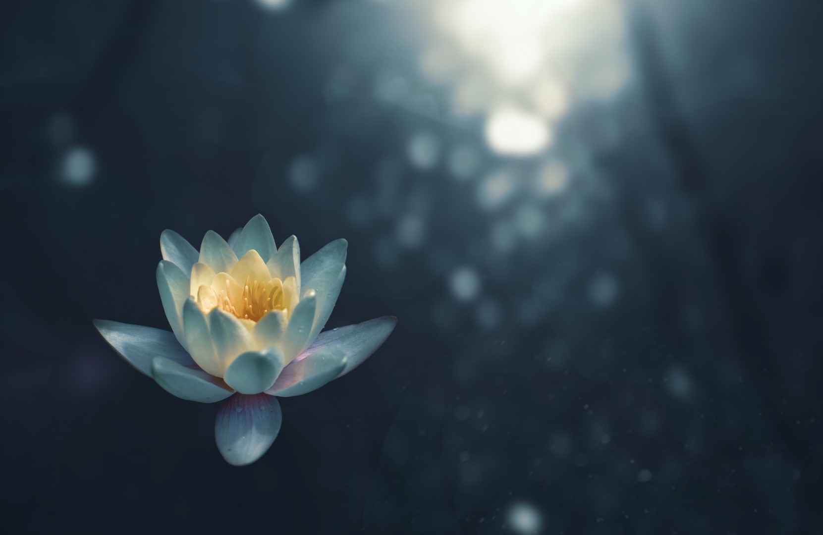 How to let go of resentment