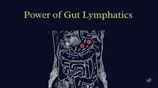 Power of Gut Lymphatics