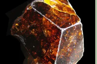 The Secret Ingredient for Healing Chronic Health Issues