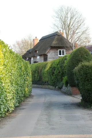 Why a Gardener with Driving Skills Should Join Sendhurst Landscapes as a Garden Maintenance Operative