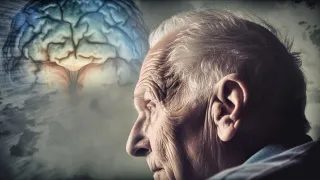 Addiction and the Reward Pathway in the Brain